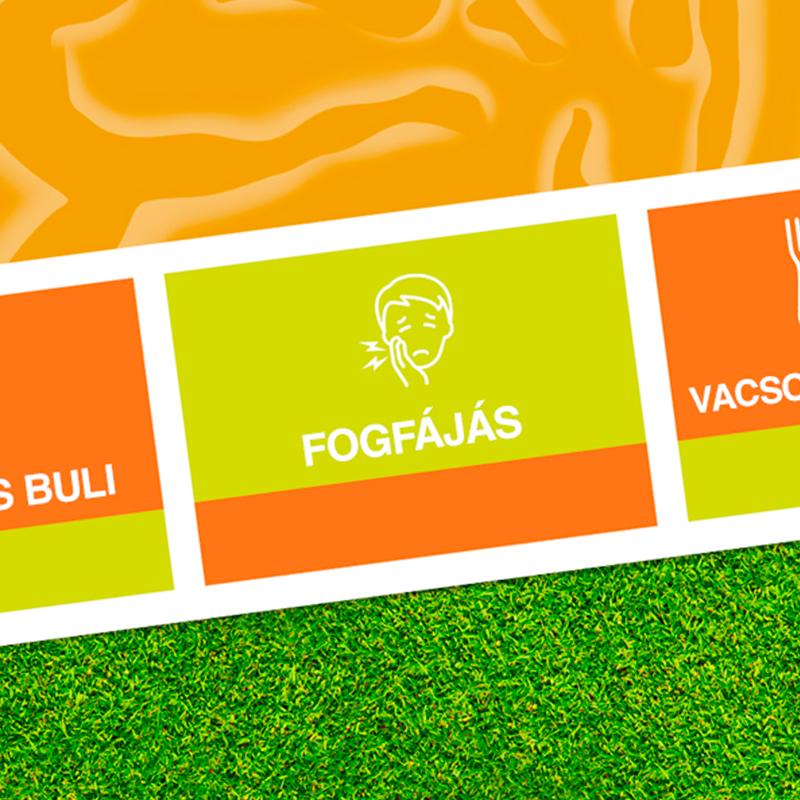 MENJ BÖLCSESSÉGFOGRA, EZ FÁJ!