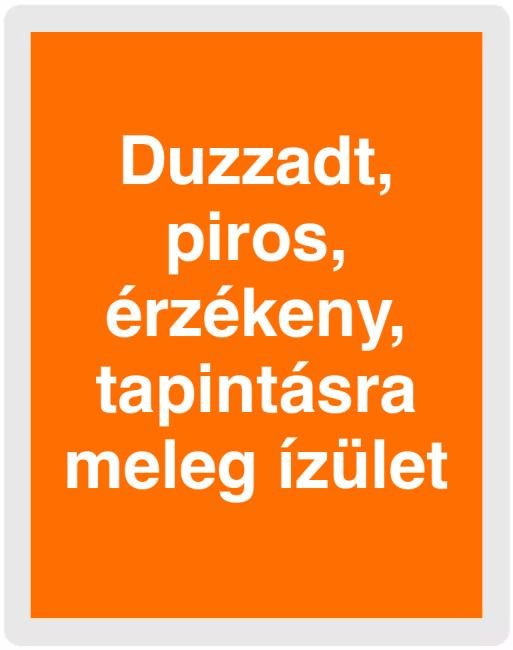 Duzzadt, piros, érzékeny, tapintásra meleg ízület